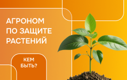 Как защитить растения