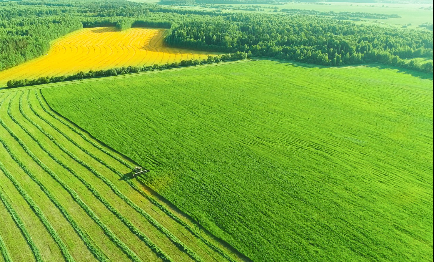 Агропромышленный холдинг «Дороничи»