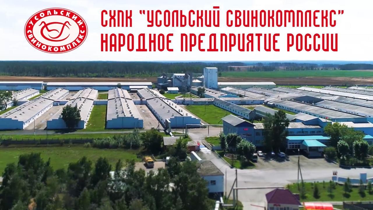 СХПК «Усольский свинокомплекс»