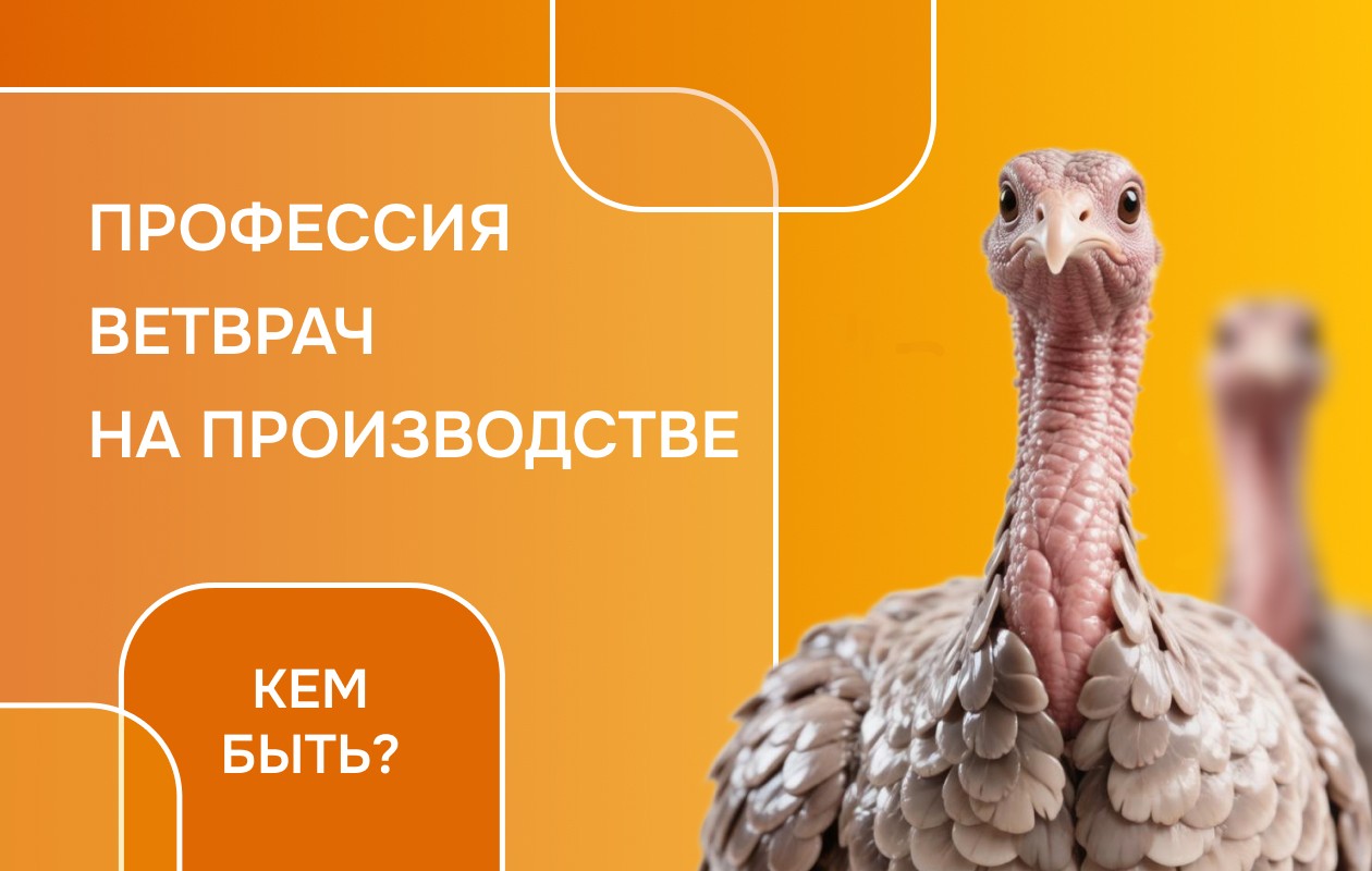 Как стать успешным ветврачом на производстве