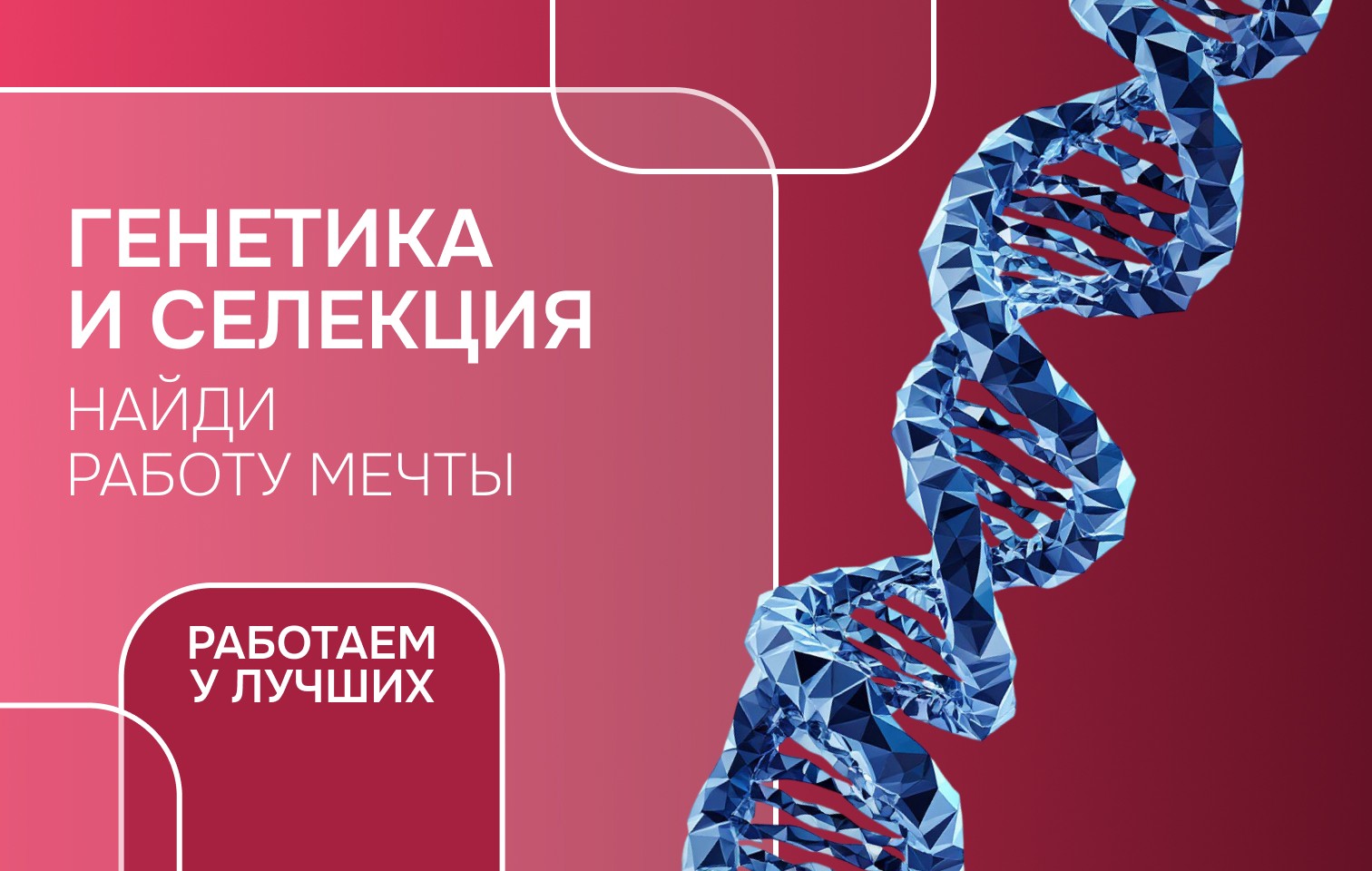 «Работаем у лучших»: ГК «АгроТерра», АПХ «ЭКО-Культура», Агрохолдинг «Дары Малиновки»
