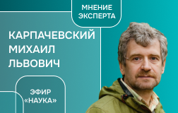 Земледелие в Средневековье и его отражение в искусстве