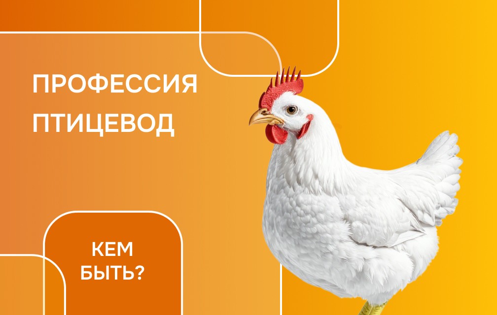 Знакомимся с профессией птицевода