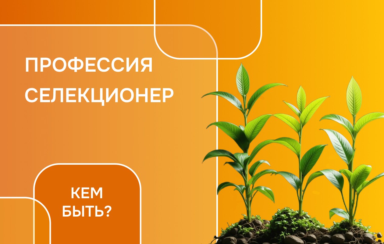 Селекционер: самое интересное о профессии