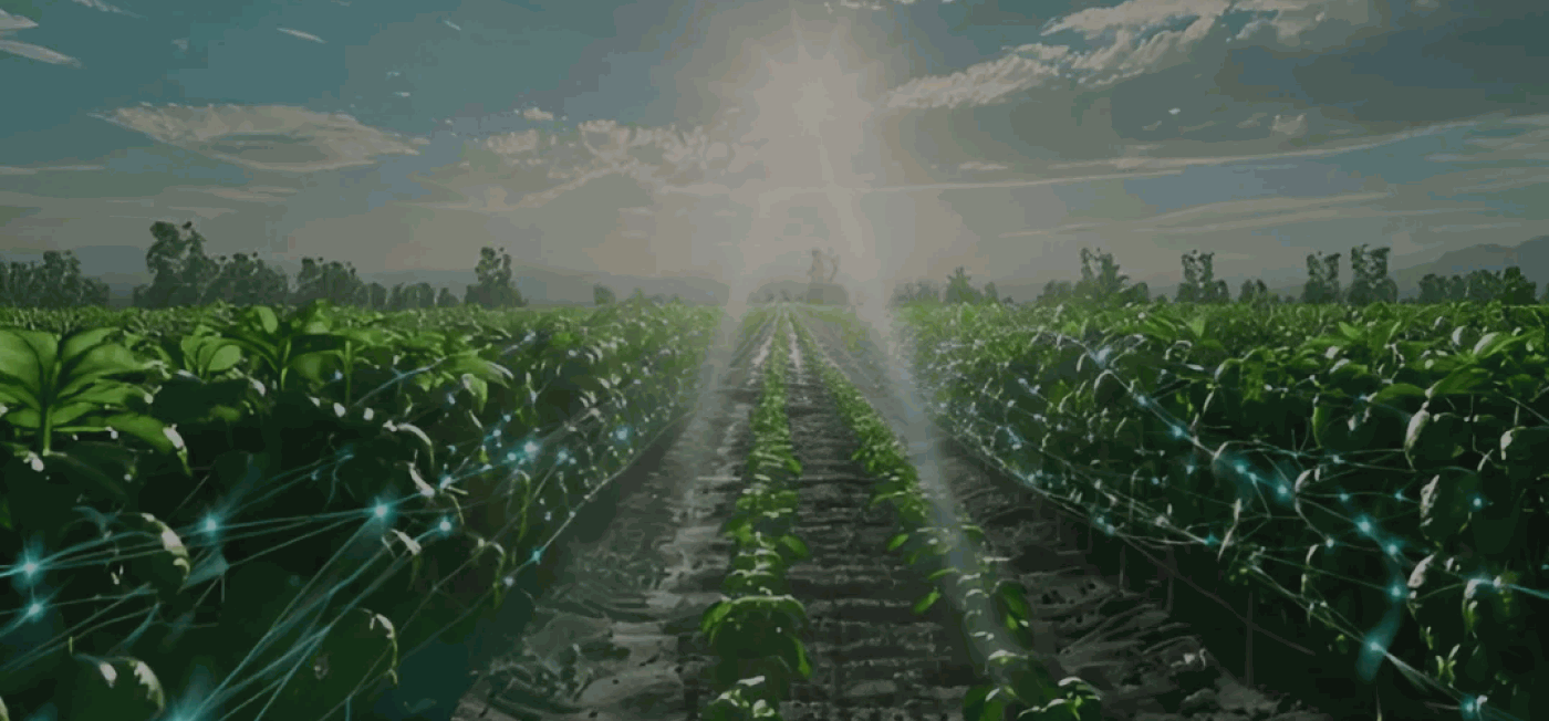 Цифровые решения в АПК: классы систем, импортозамещение и факторы цифровизации