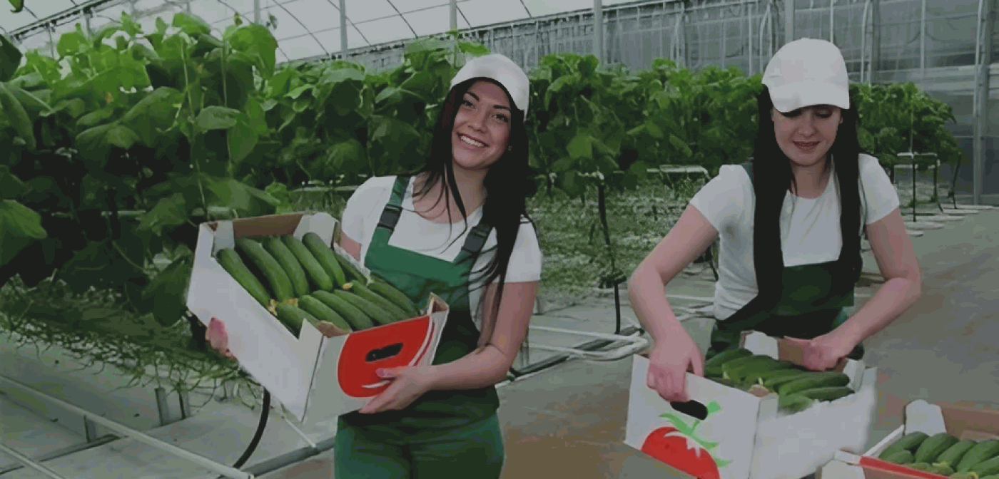 «Агрокомплекс Выселковский» разрабатывает новые стипендиальные программы