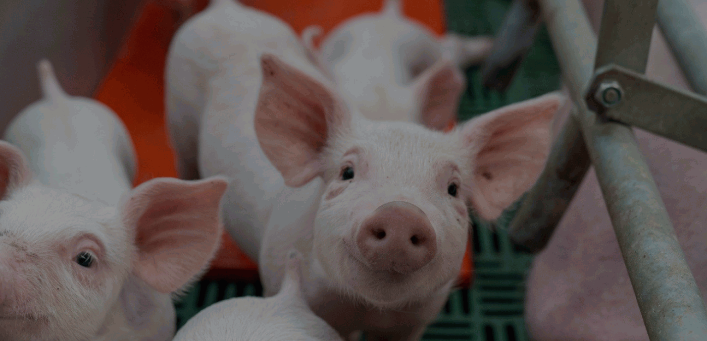 «На первой же практике удалось многому научиться и получить достойную зарплату»