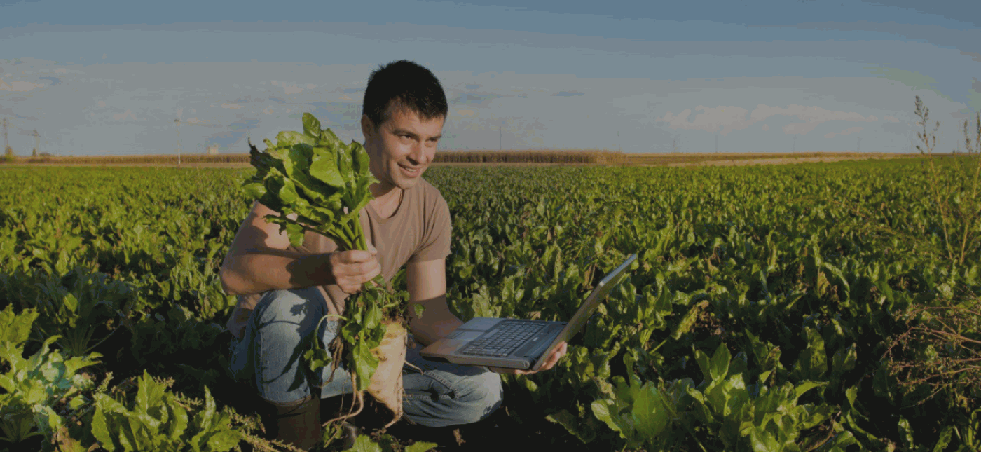 Студенты после практики переводятся на заочное обучение, чтобы совмещать учебу с работой