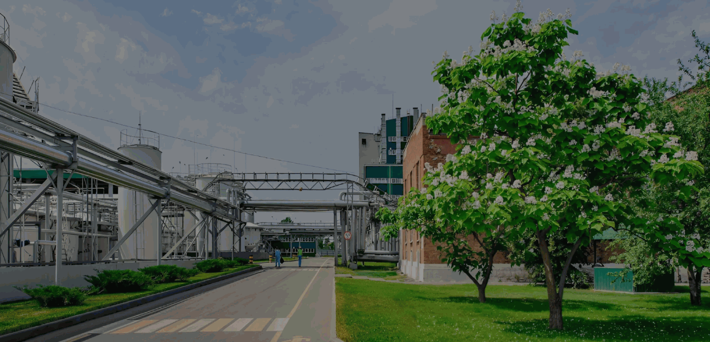 ГК «ЭФКО» построит завод по производству сладкого белка