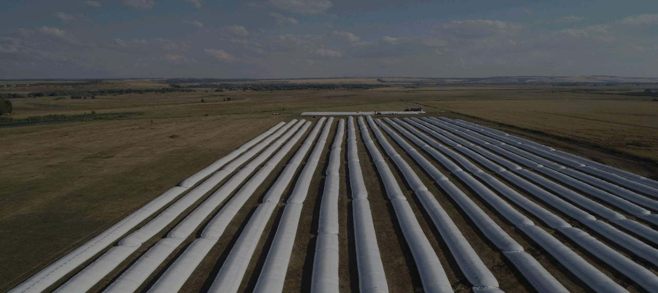 ГК «Август» запустила инновационное производство полимерных материалов для сельского хозяйства