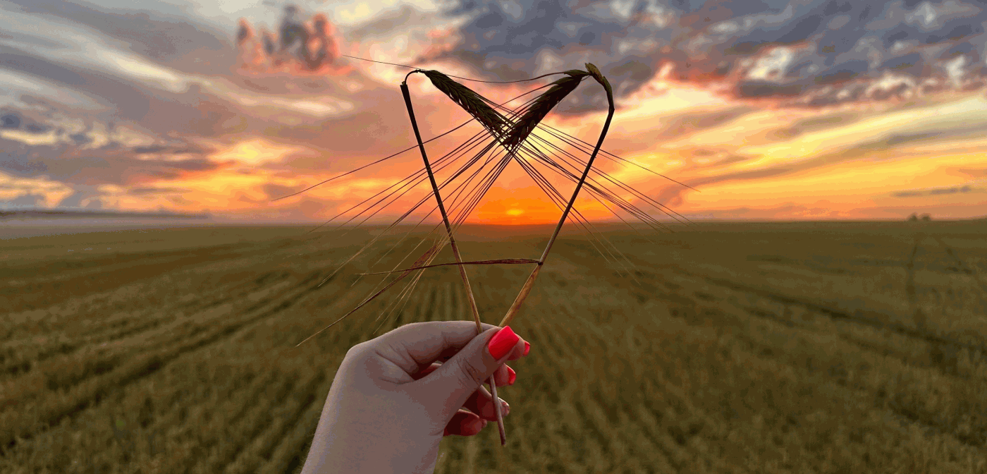 Место практики – старт успешной карьеры в АПК