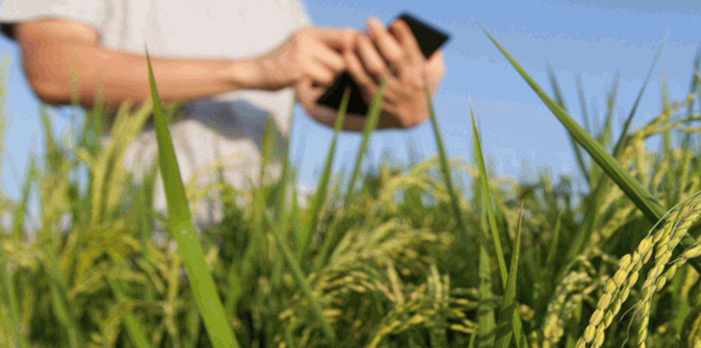 Узнай о профессии агронома по защите растений и выиграй приз