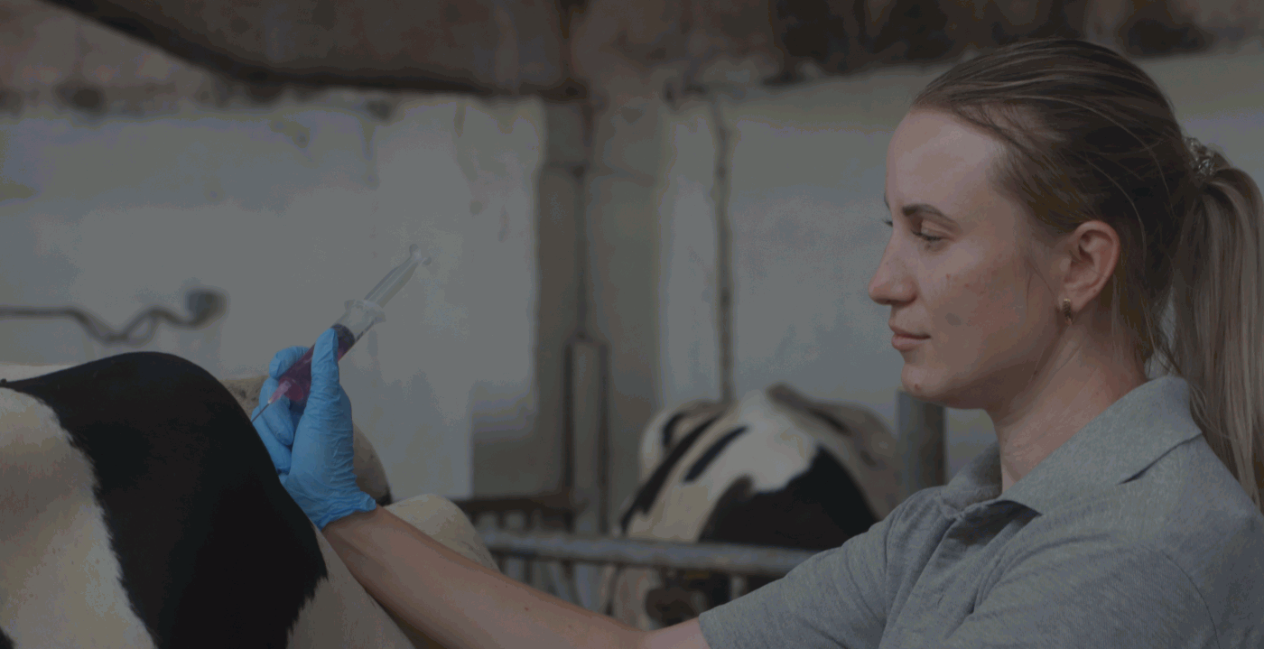 Корпоративная ипотека, цифровизация и клонирование: ветеринар о развитии профессии и условиях работы