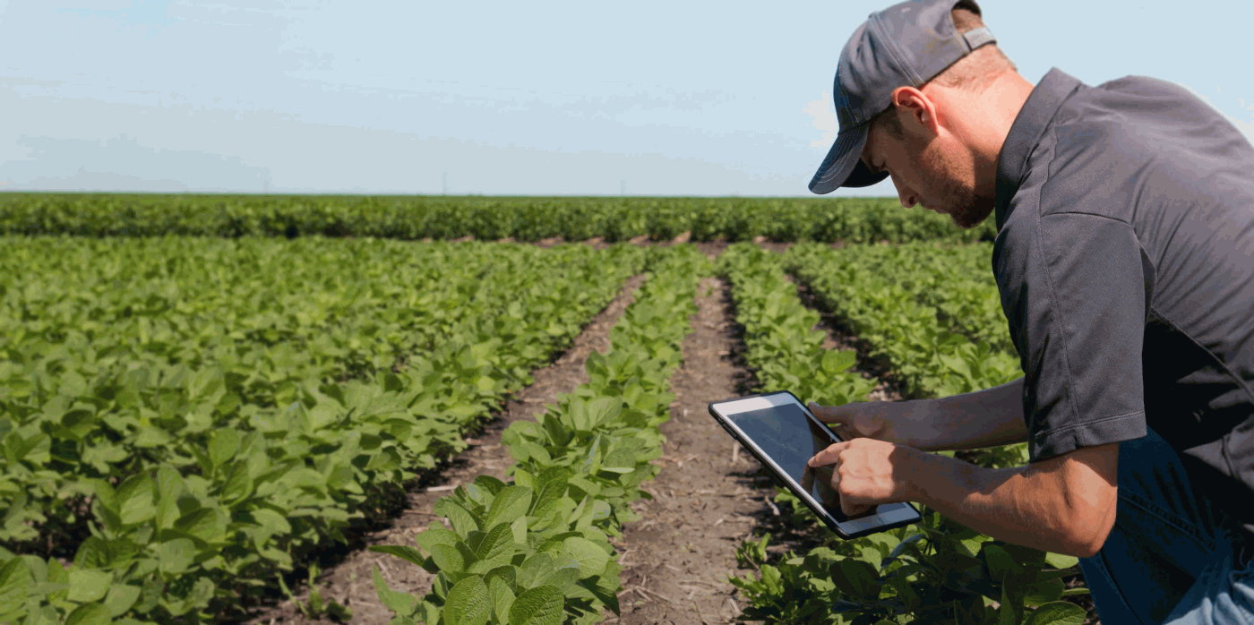 О профессии агронома по защите растений от первого лица