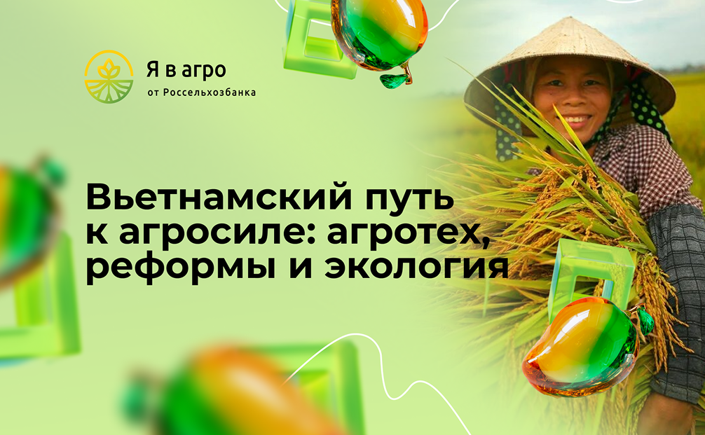 Вьетнамский агротех-феномен: стратегия возрождения сельского хозяйства