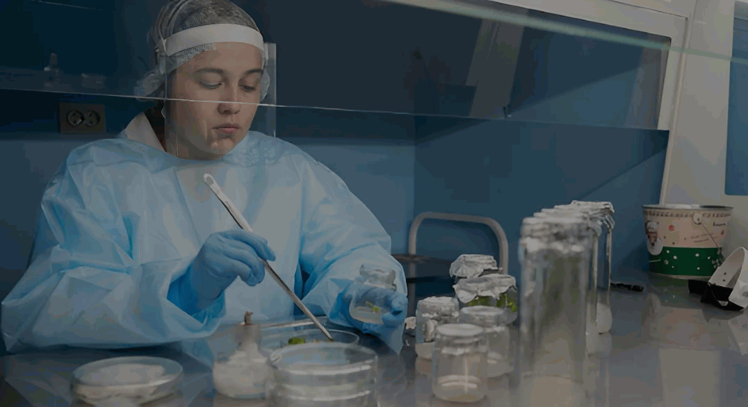 Стажировки помогают студентам получить дополнительные компетенции и устроиться на высокооплачиваемую работу