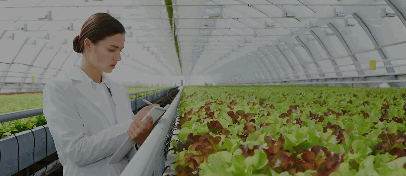 Рынок труда в АПК помолодел