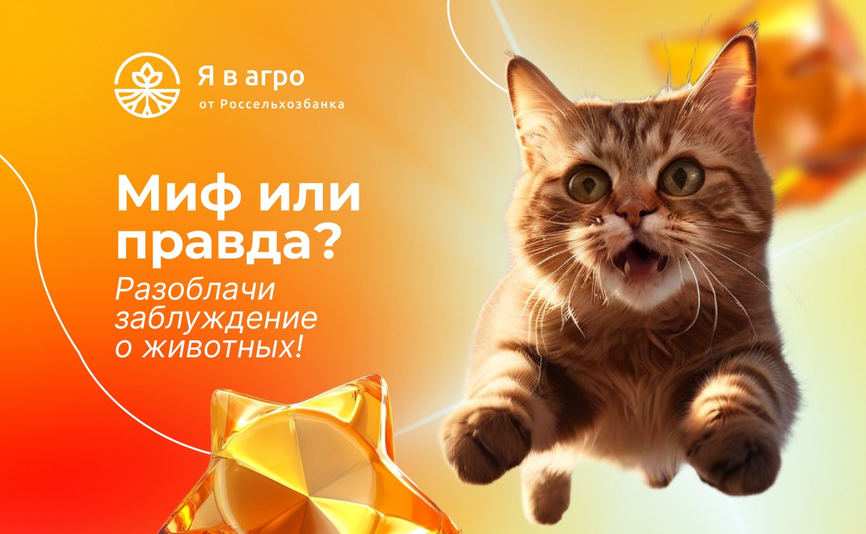 Студенты разоблачили популярные мифы о животных