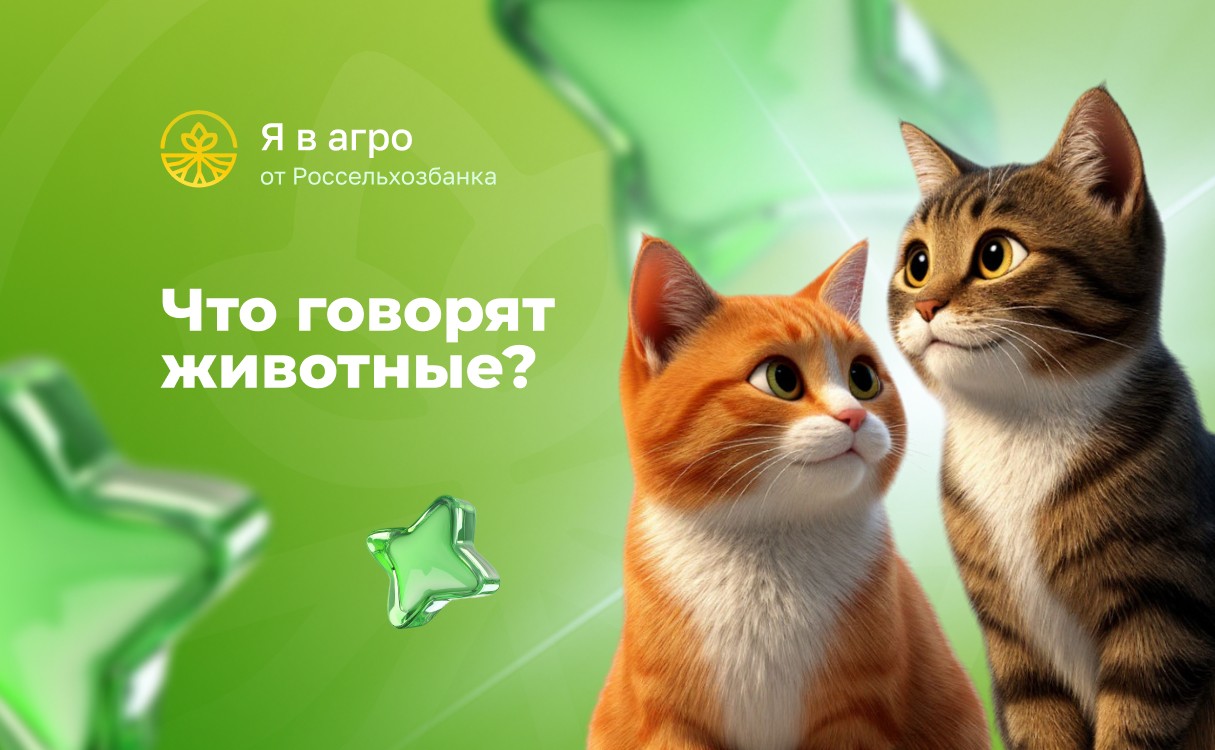 Если бы животные вели соцсети: лучшие работы участников конкурса «Студент года в Агро»