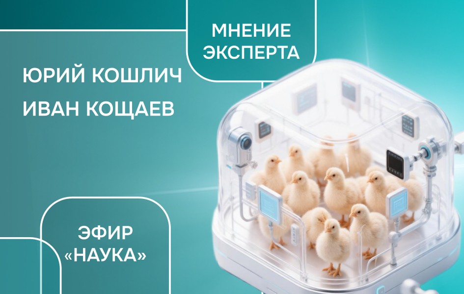 Птицефабрика без человека